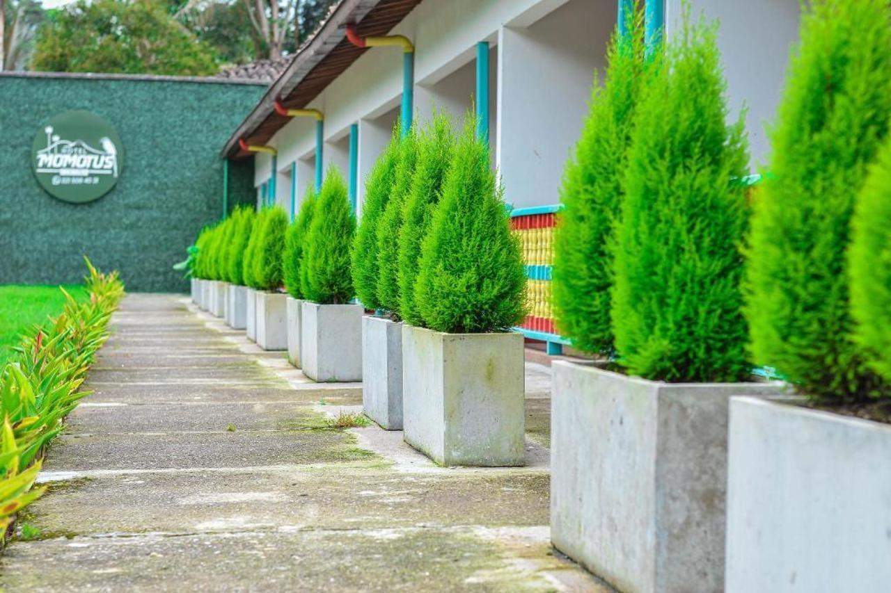 Hotel Momotus Cocora Salento Exterior foto