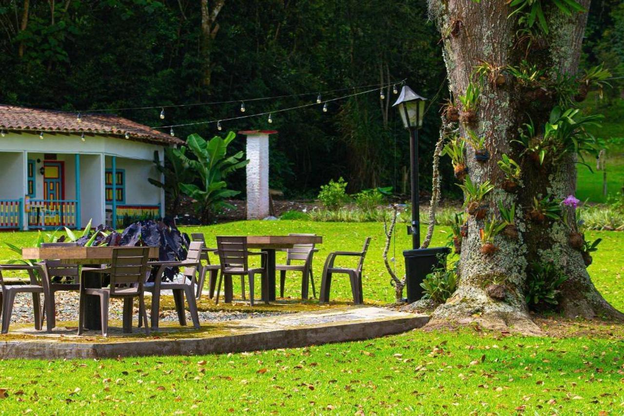 Hotel Momotus Cocora Salento Exterior foto